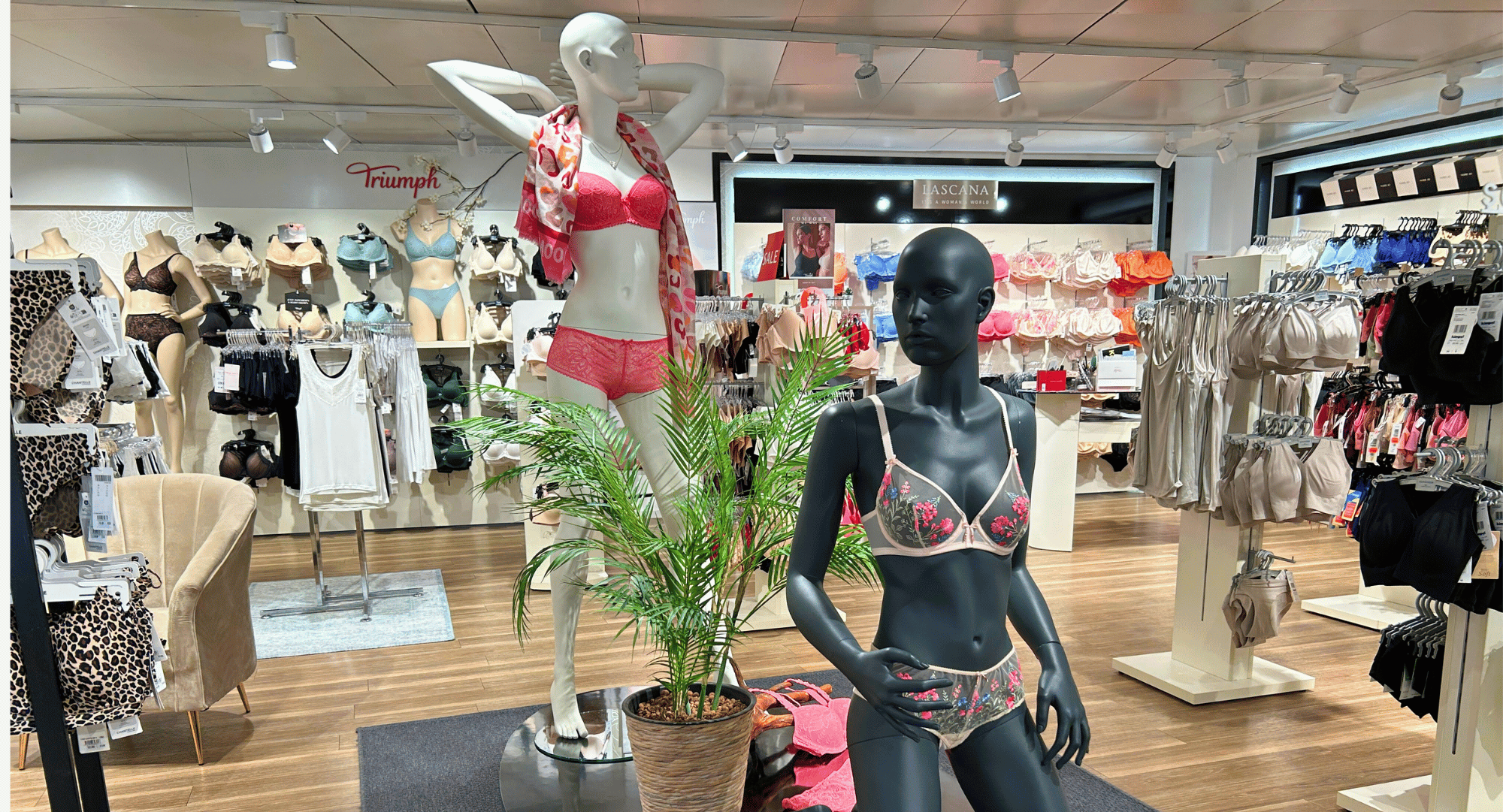Ein Blick in die Wäscheabteilung. Vielfältige Auswahl an Damenunterwäsche – stilvolle BHs, Slips und Nachtwäsche in der Wäschewelt bei Kimpel Mode & Sport